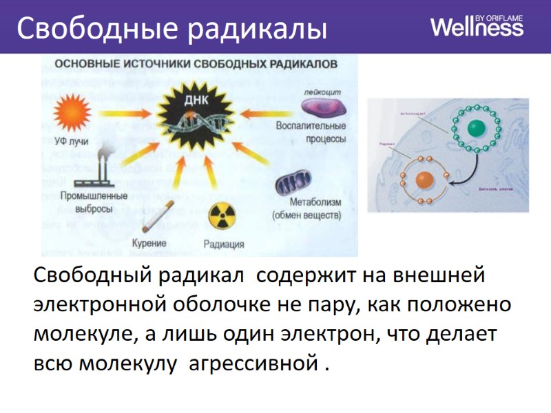 Свободные радикалы Свободный радикал  содержит на внешней электронной оболочке не пару, как положено